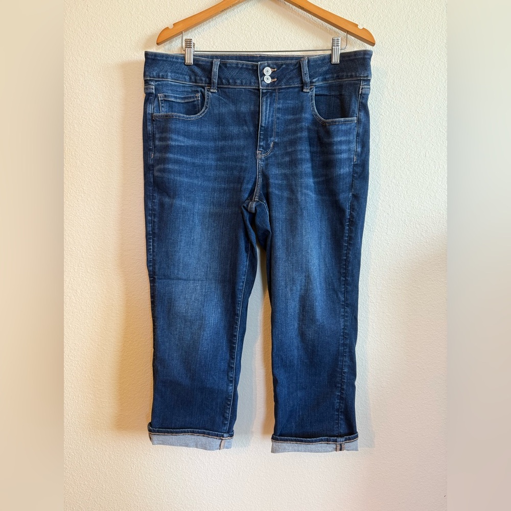 AE Next Level Artist Crop Jeans